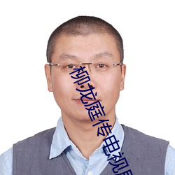 柳龙庭传电视剧免费观看西