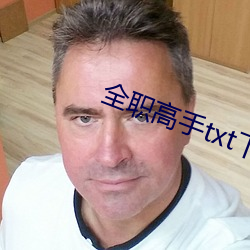 全职高手txt下载