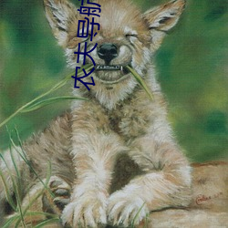 农夫导(導)航电影