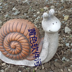 黄色软件污