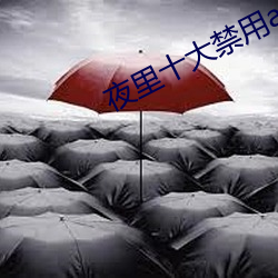 夜里十大(dà)禁用app软件黄(huáng)