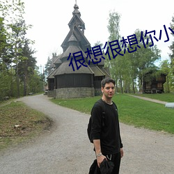 很想很想你小说
