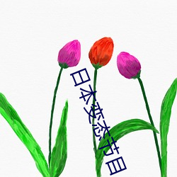 日本(běn)变(biàn)态节目