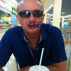 666av （轻车熟道）