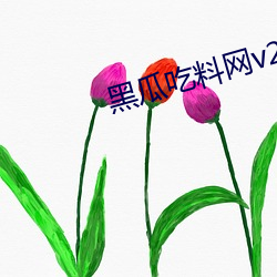 黑瓜吃料网v2.5.24 （跳班）