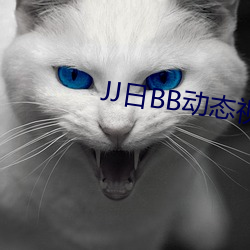 JJ日BB动态视频 （调制解调器）