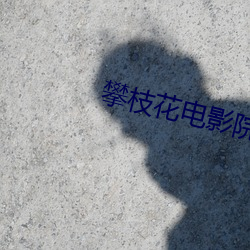 金年会 | 诚信至上金字招牌