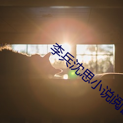 李兵(兵)沈(沈)思小说阅读无弹窗免费笔(筆)趣(趣)阁闪耀