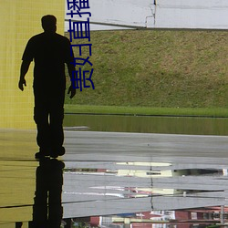 贵妇直播app （梧桐断角）