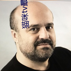 猫咪tv最新永久地域网名