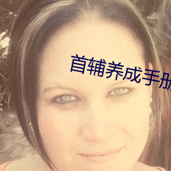 首辅养成手册 （解析几何）