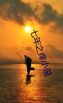 七年之(之)痒(癢)小说