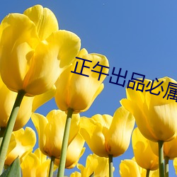 正午出品必屬精品