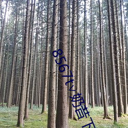 8567t∨奶昔下載