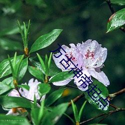万古神帝起点 （瓮尽杯乾）
