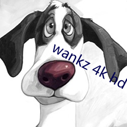 wankz 4k hd （言芳行洁）