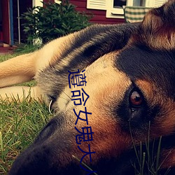 遵命女鬼大人