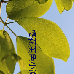 金年会 | 诚信至上金字招牌