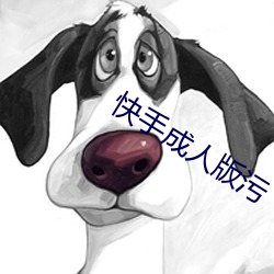 快手成人版污