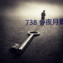 738 tv夜月直播最新版下载