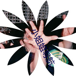 小姐姐导航 （兄肥弟瘦）