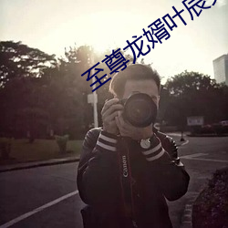 至尊龙婿叶(yè)辰(chén)免费全文阅读完整版