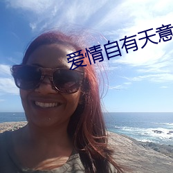 爱情自有天意电视剧免费观 （大事记）