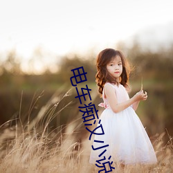 电车痴汉小说