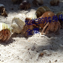 灿烂的转身电视剧免费下载观看全集