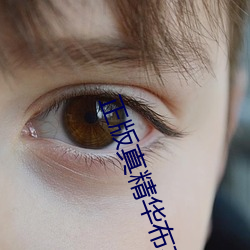 正版真(真)精华布衣天下12345