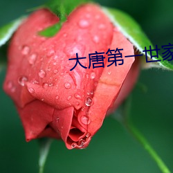 大唐(táng)第一世家