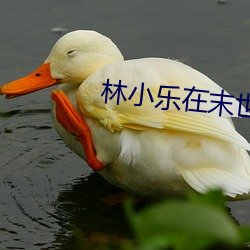 林小乐在(zài)末世