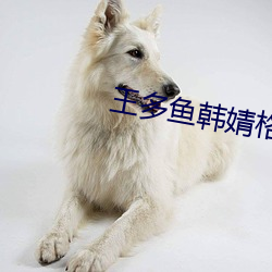 王多鱼韩婧格博雅免费网站