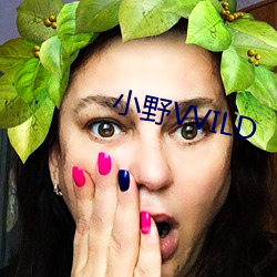 小野VVILD