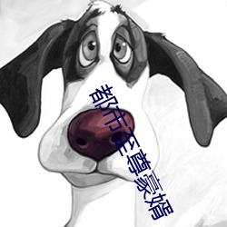 都市至尊豪婿