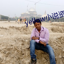 yellow小说资源大全网