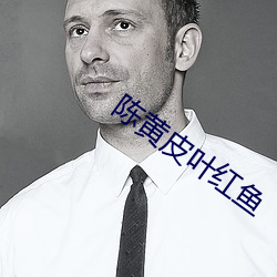陈黄皮叶红(紅)鱼