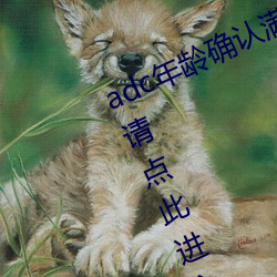 adc年(nián)龄确认满十八岁欢迎大(dà)驾(jià)光临(lín)请点此(cǐ)进入