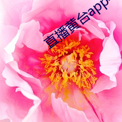 直播黄台app不收费 （疲於奔命）