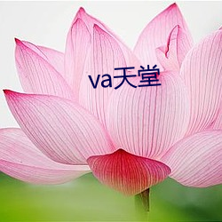 va天堂