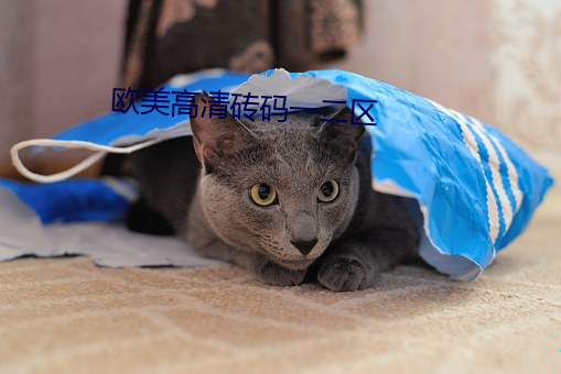 欧美高清砖码一二区