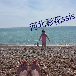 河北彩(cǎi)花ssis