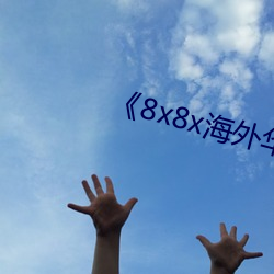 《8x8x海外华人》BD韩语高清