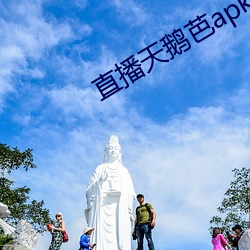 直播天鹅芭apk免费 （应募）