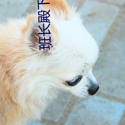 班长(長)殿下(下)第(第)二(二)季(季)小说