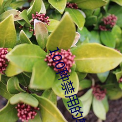 100种禁用的软件ios