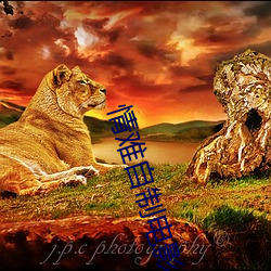 情难自制电影