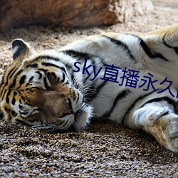 sky直播永久回家地址(zhǐ)