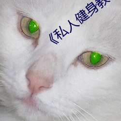 《私人健身教練》