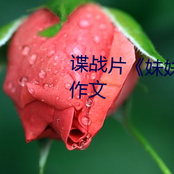 谍战片妹(mi)妹中考前让我(wǒ)C了1次(cì)作文